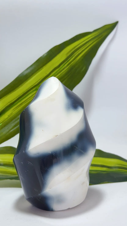 Orca Agate Flame 590g