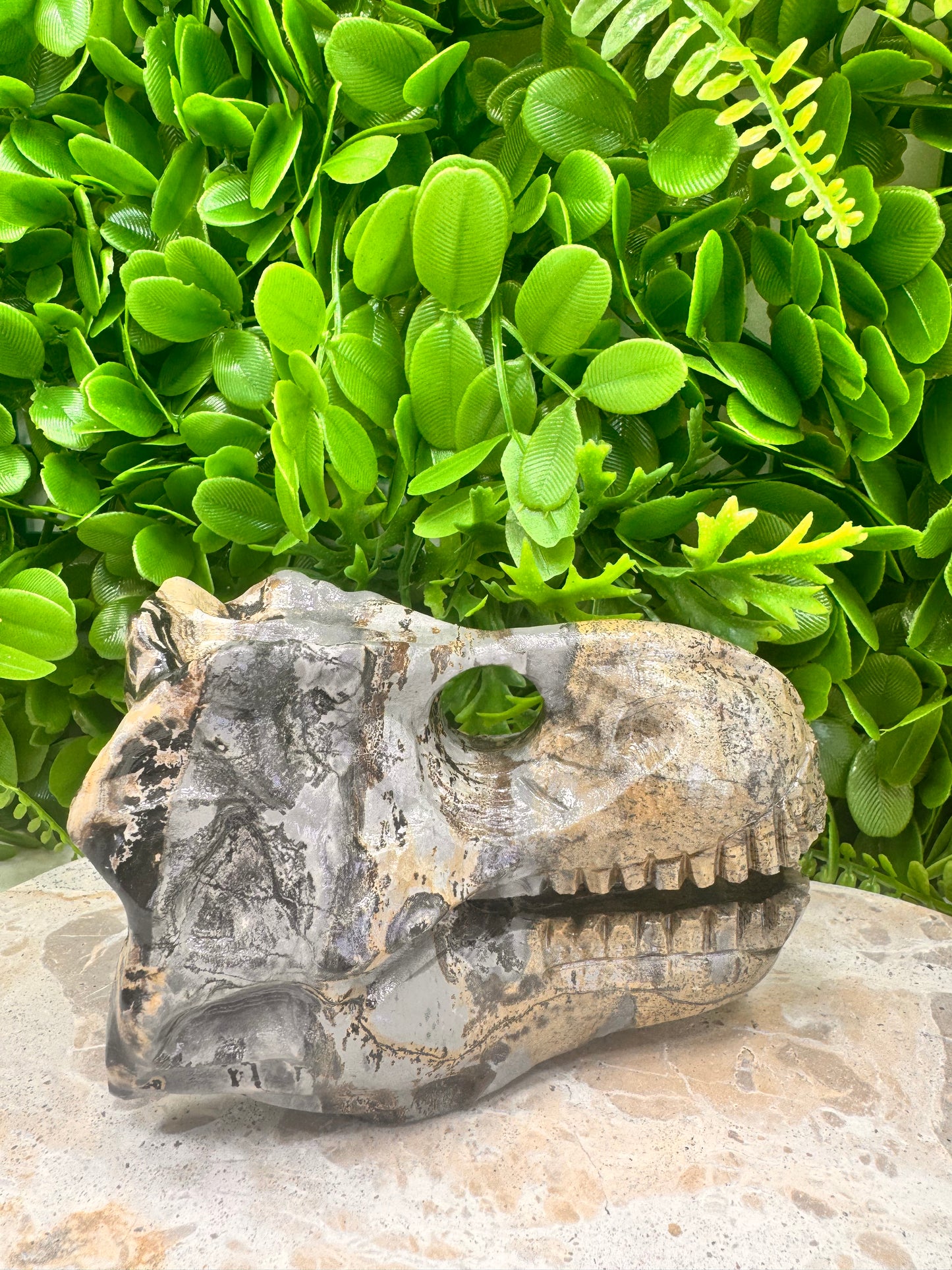 Picture Jasper Dinosaur Skull 724g