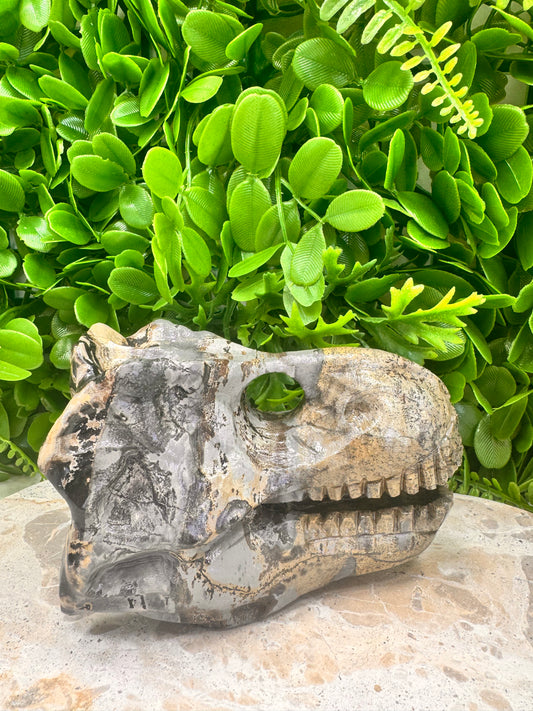 Picture Jasper Dinosaur Skull 724g