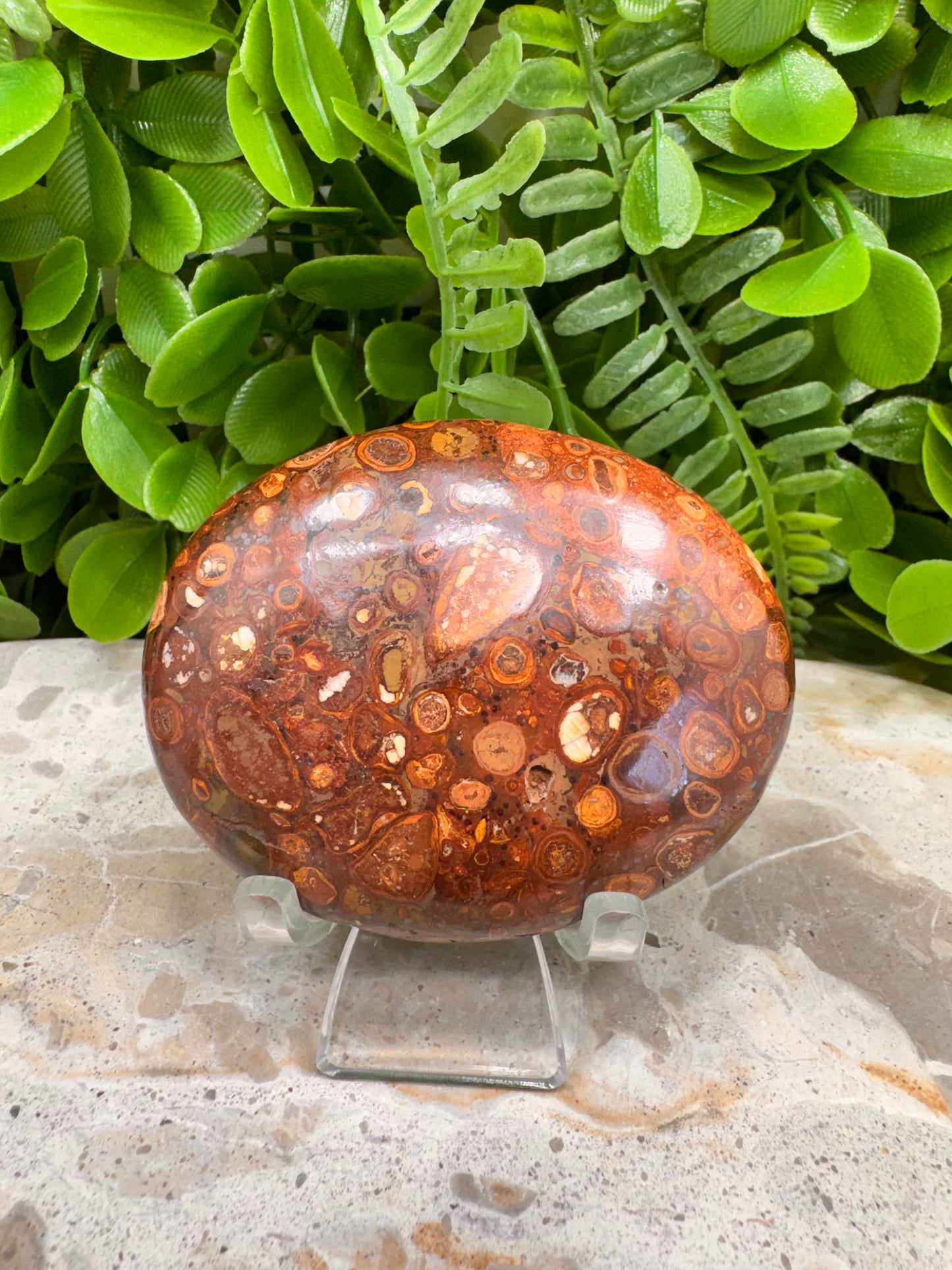 Coral Fossil Japser Palmstone 168g