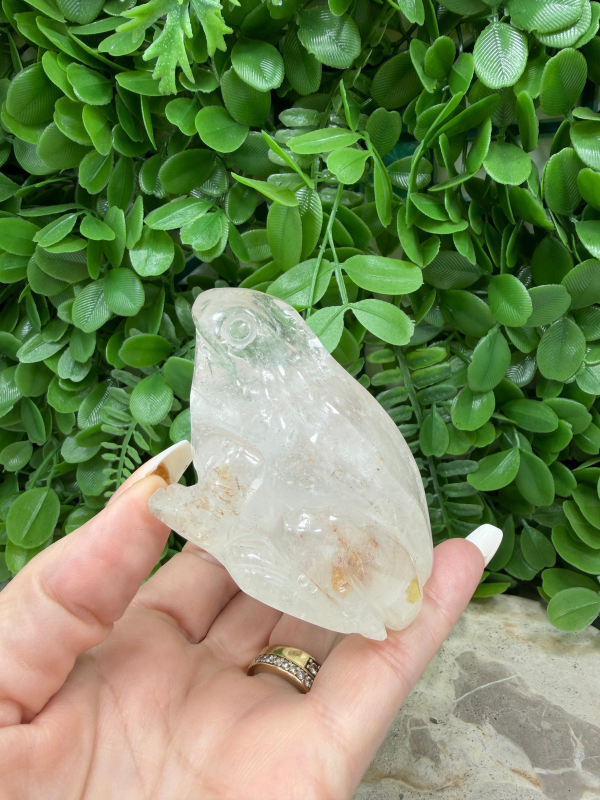 Clear Quartz Frog 308g