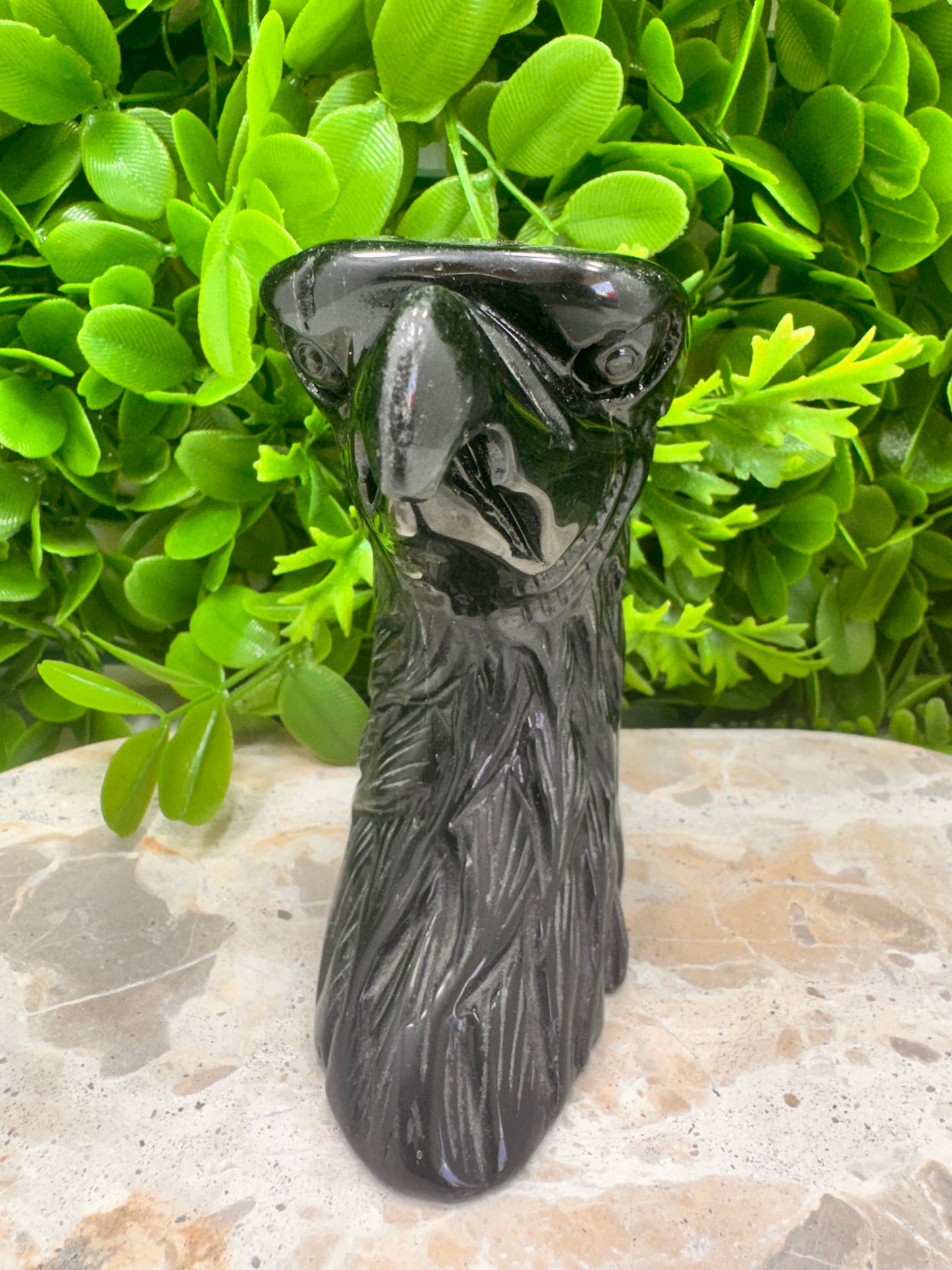 Black Obsidian Eagle 620g