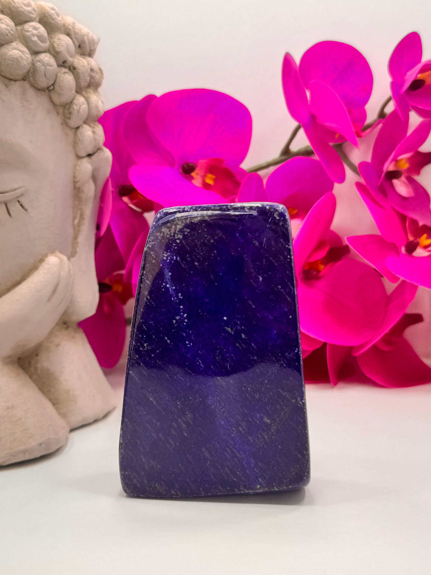 Lapis Lazuli Freeform 648g