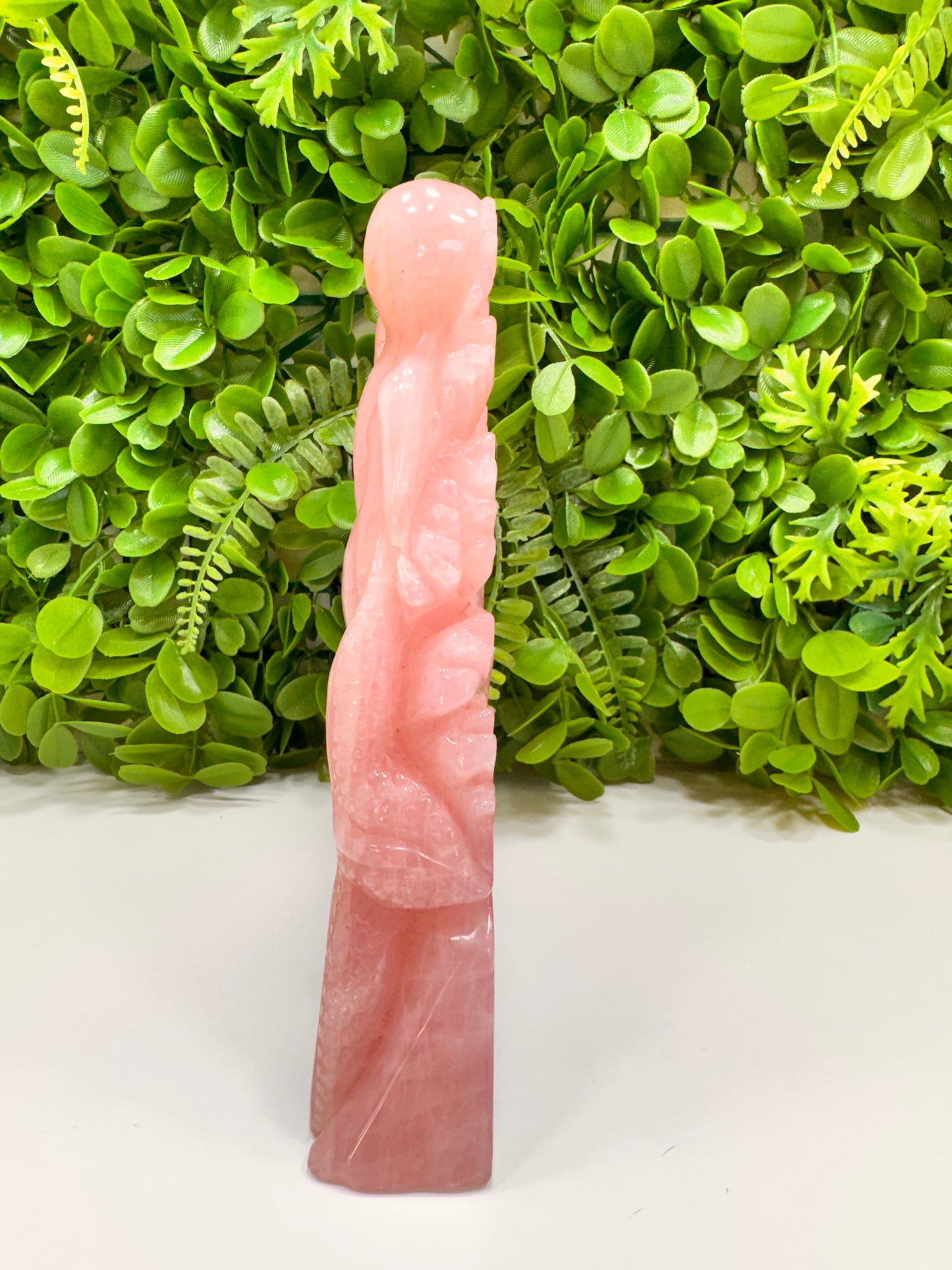 Rose Quartz Sea Life 1982g
