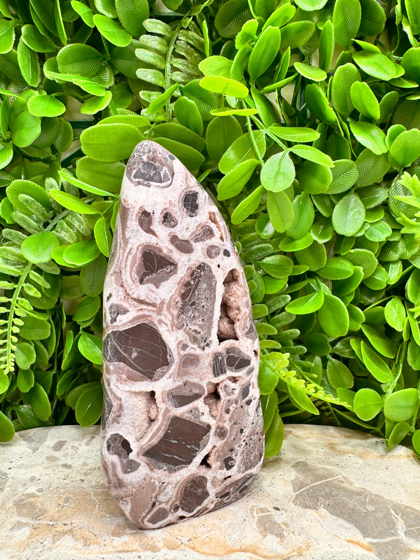 Chocolate Aragonite Freeform 508g