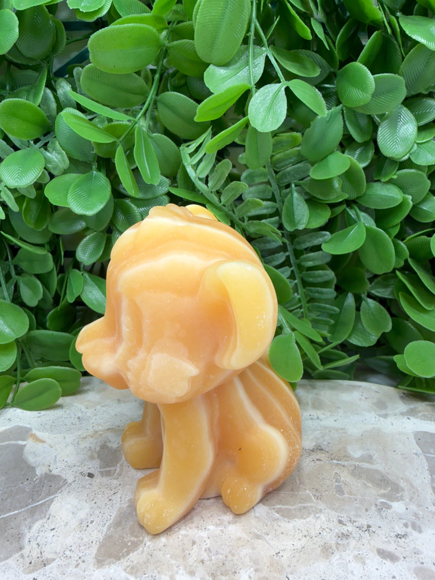 Orange Banded Calcite Lion Cub 554g