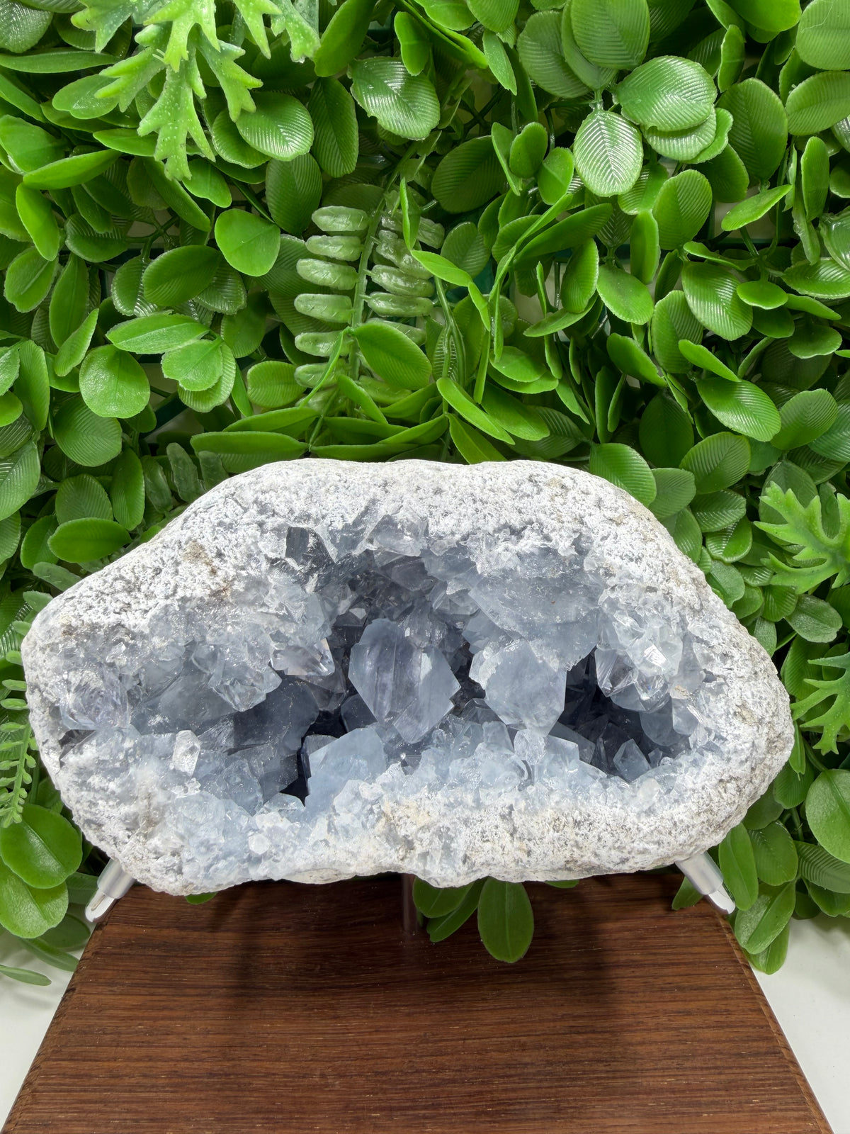 Blue Celestite Freeform | Tranquility • Communication • Peace