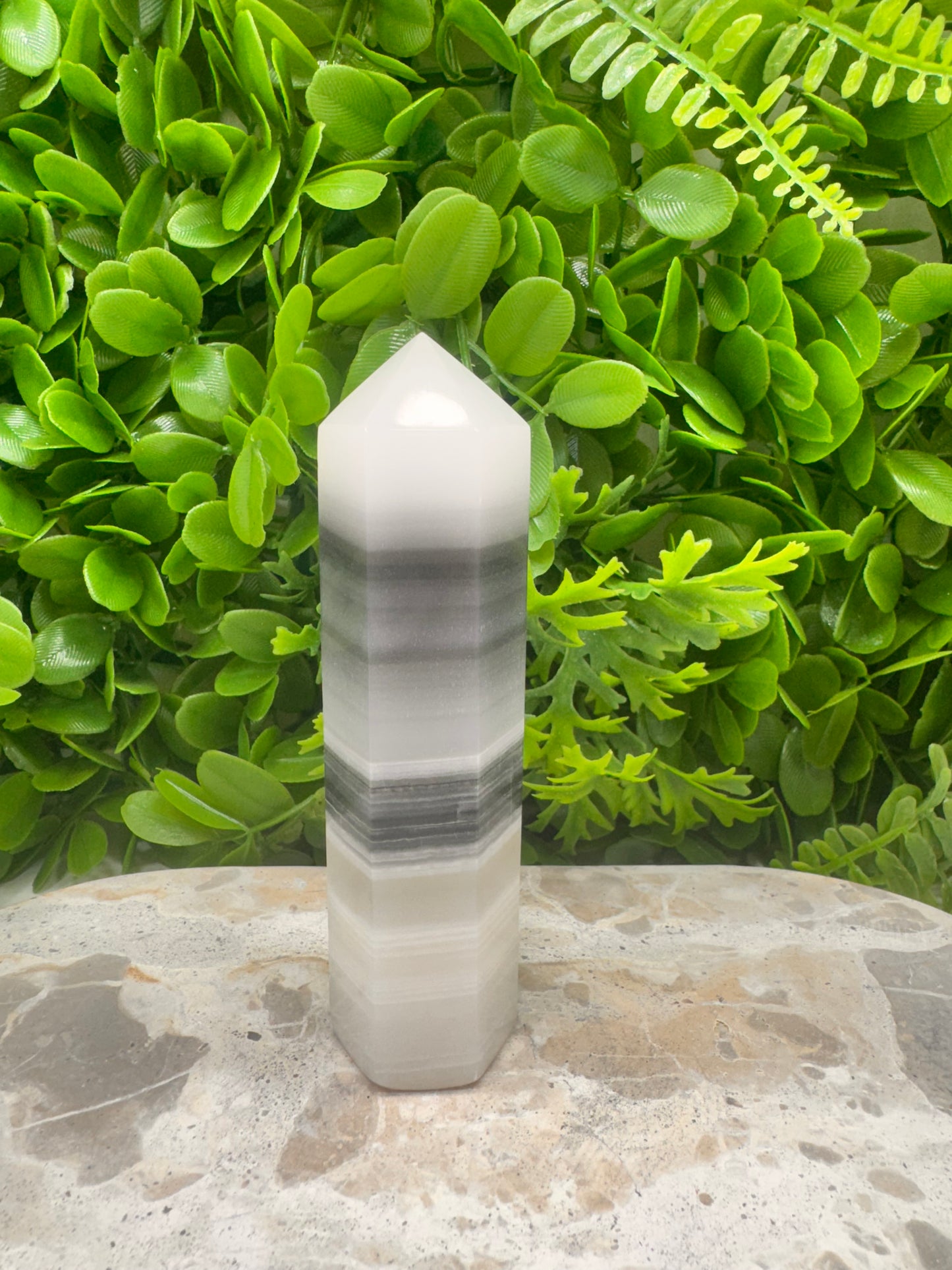 Black & White Onyx Tower 290g