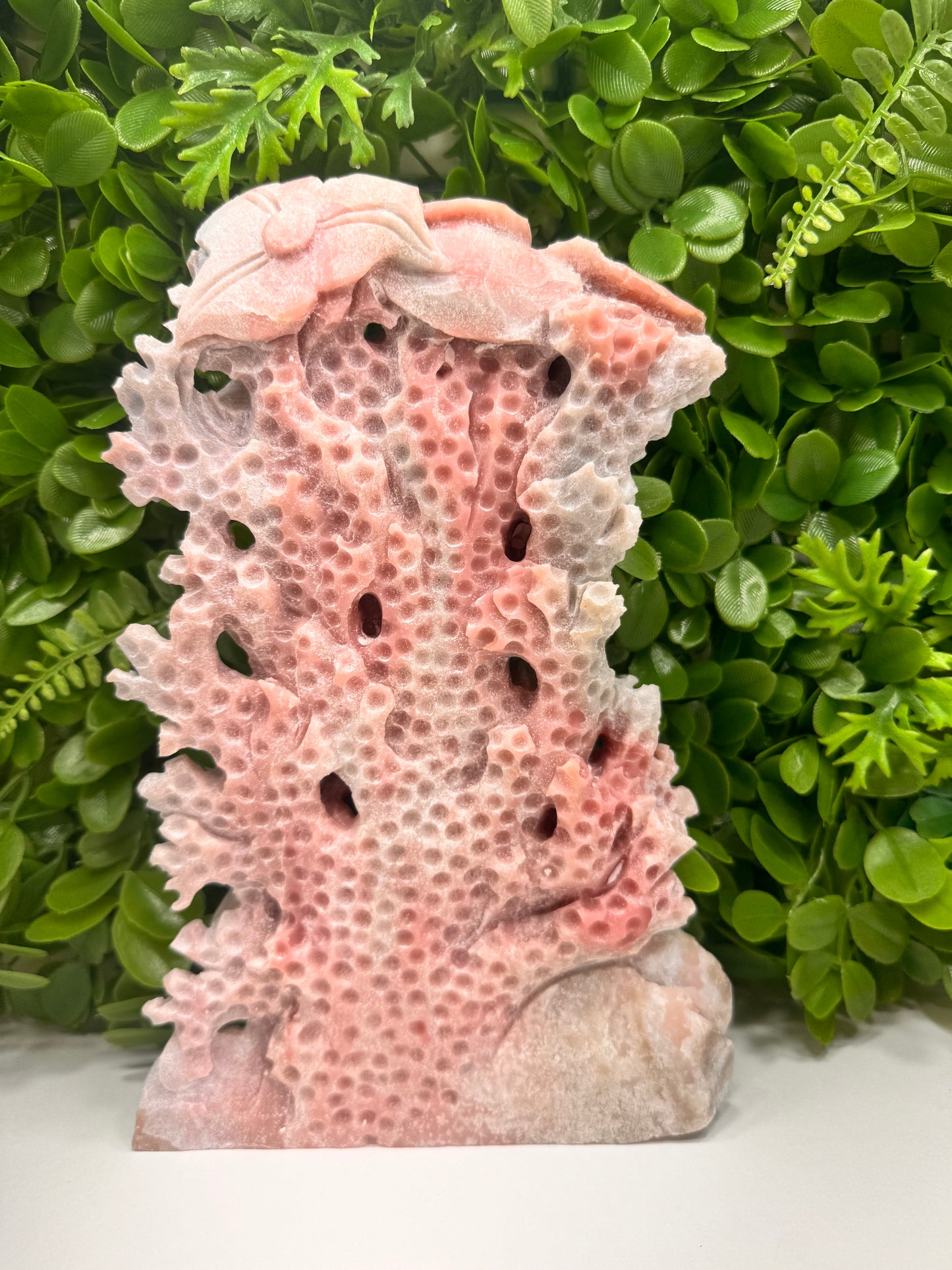 Pink Opal Sea Life 2142g