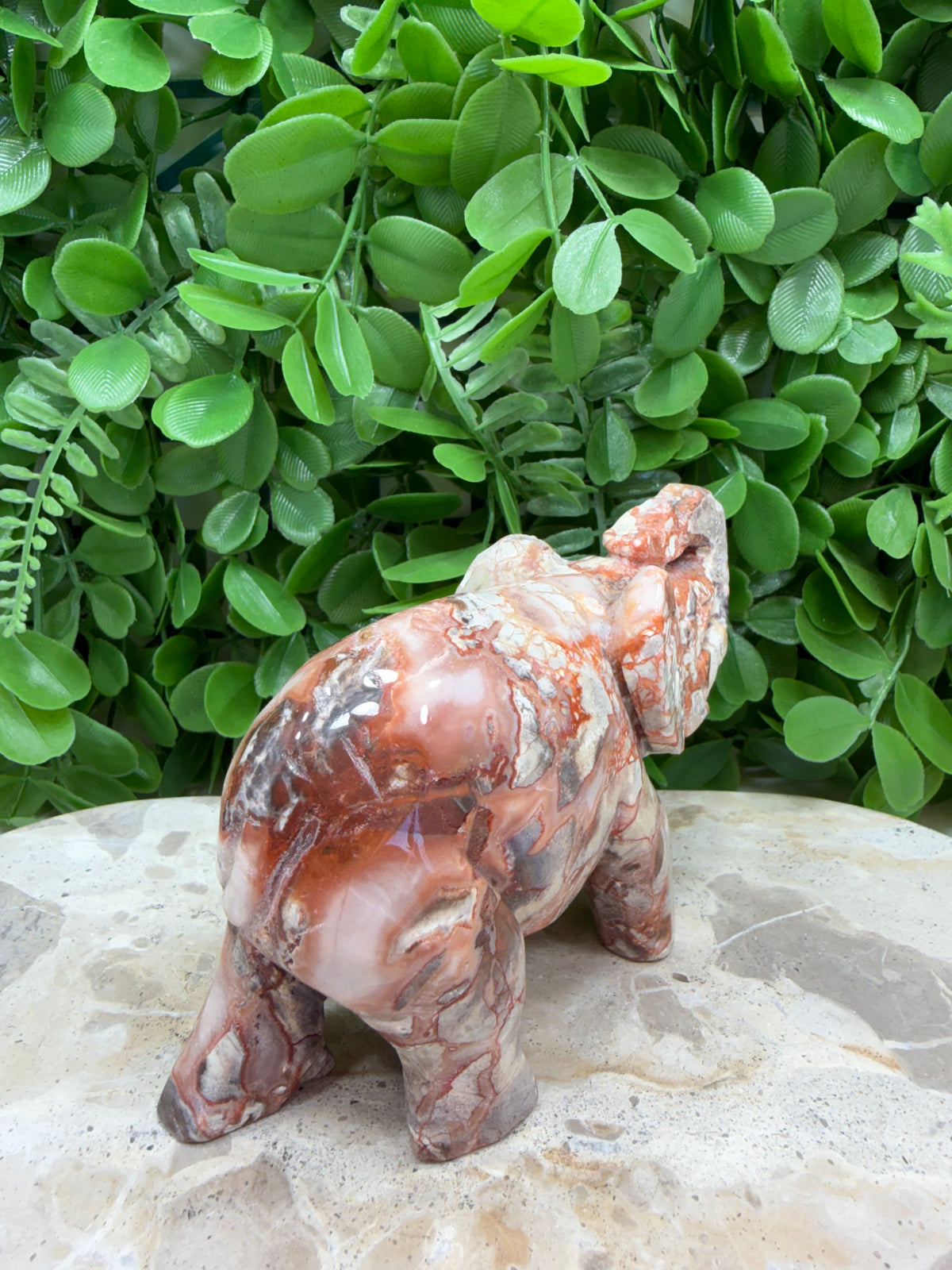 Money Agate Elephant 502g | Intuition • Communication • Clarity