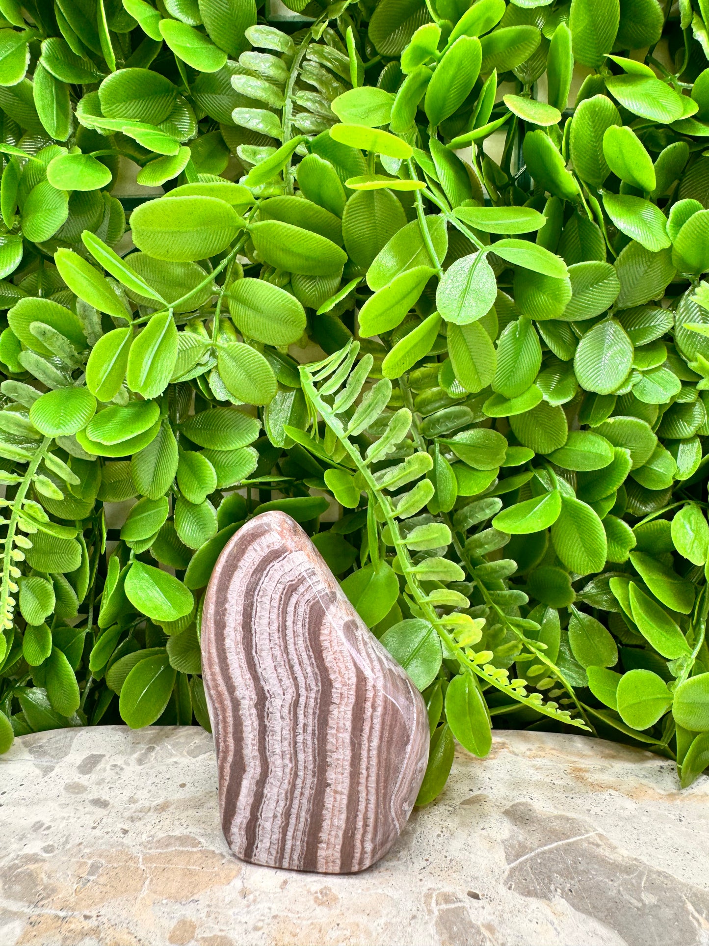 Chocolate Aragonite Freeform 204g
