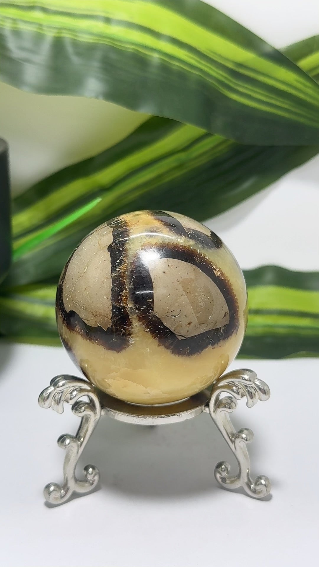 Septarian Sphere 302g