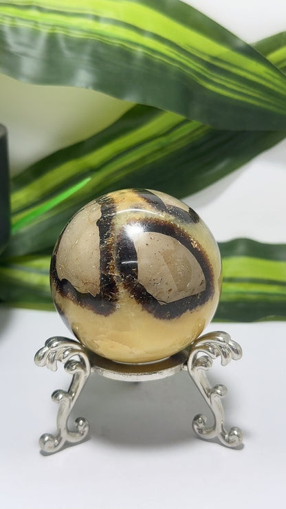 Septarian Sphere 302g