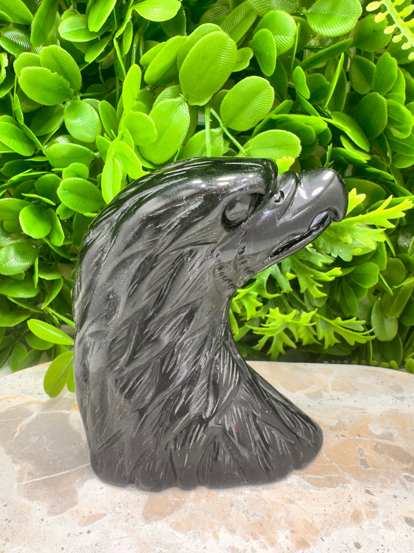 Black Obsidian Eagle 620g