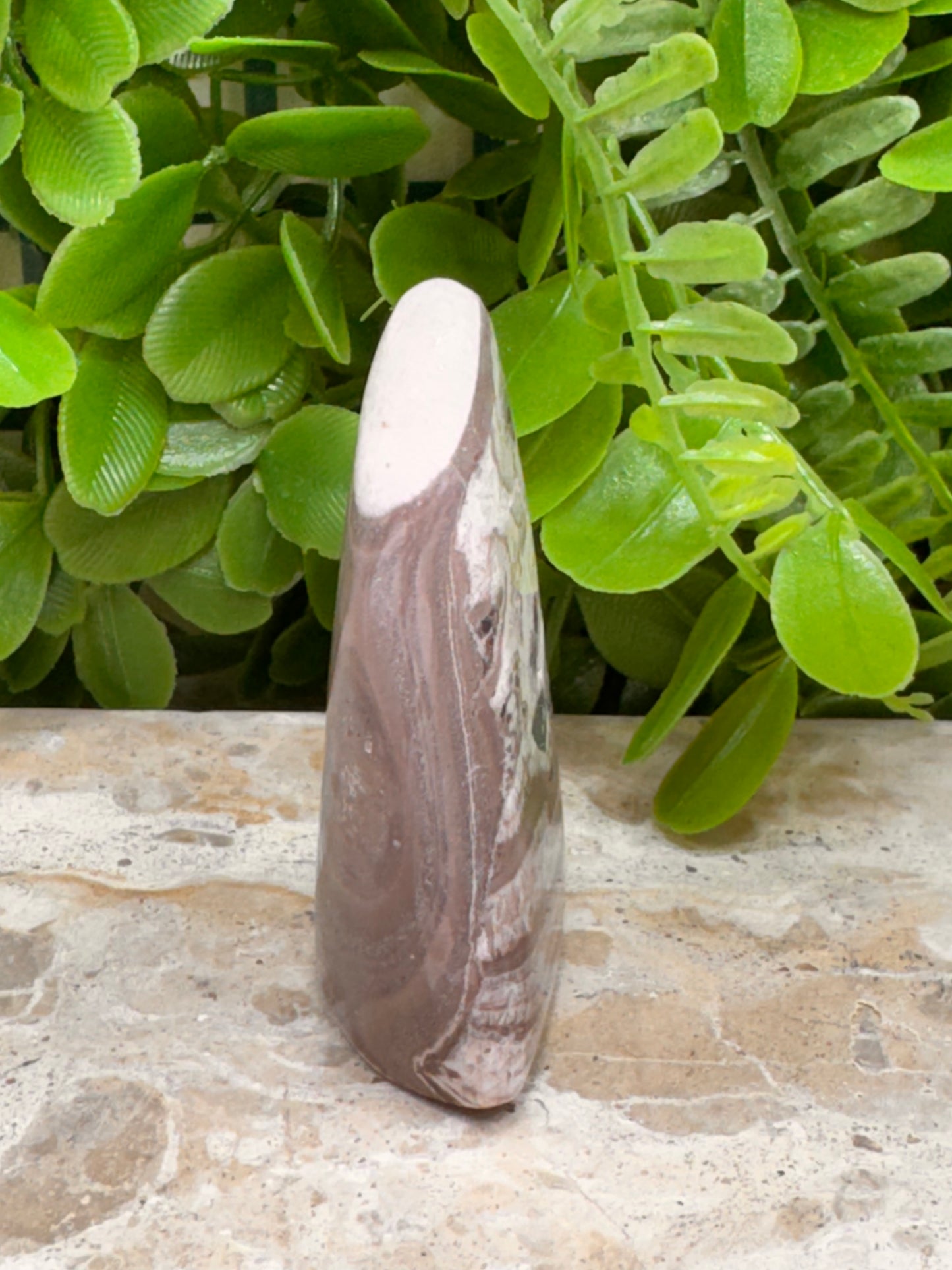 Chocolate Aragonite Freeform 102g