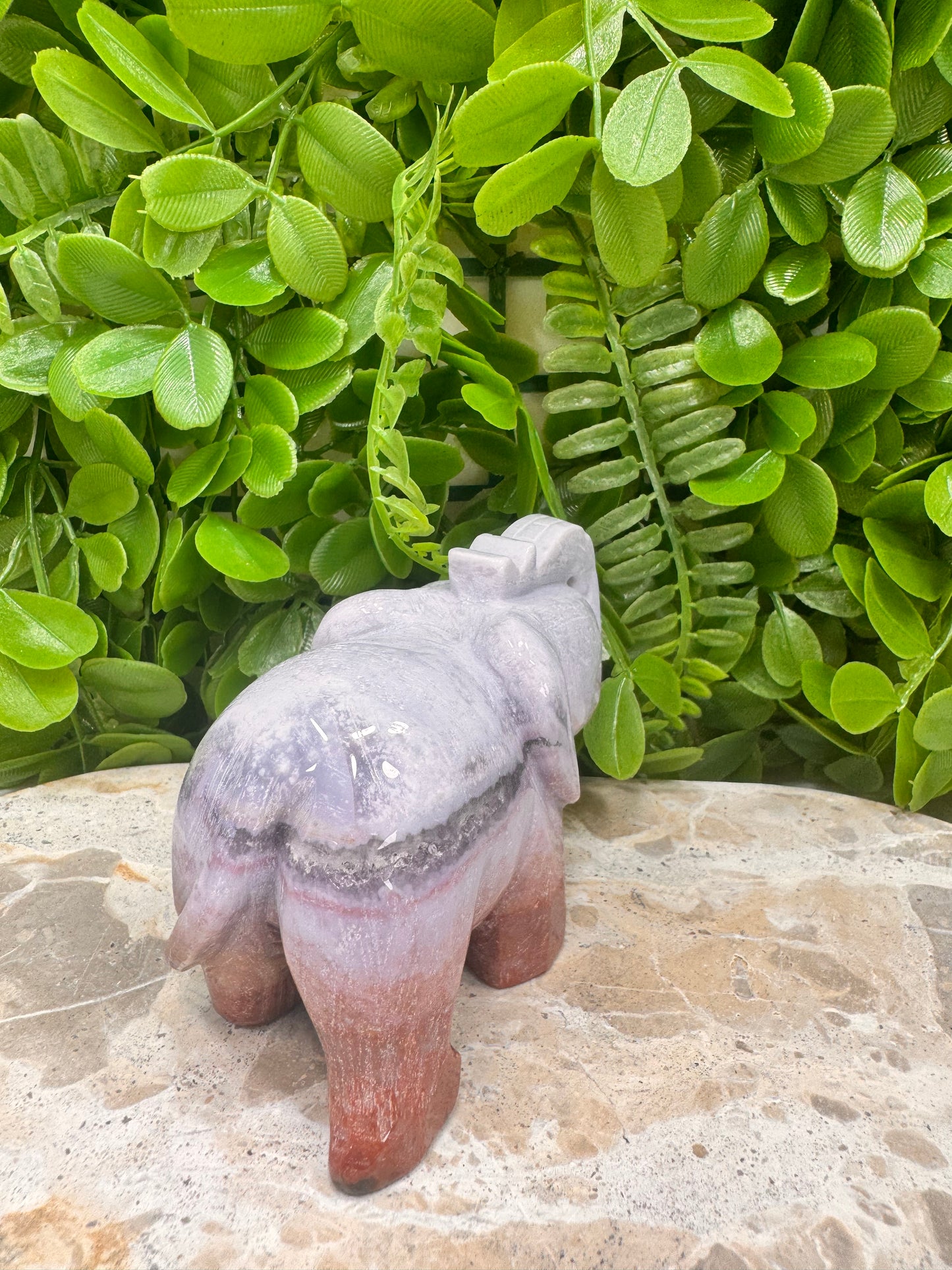 Ocean Jasper Elephant 442g