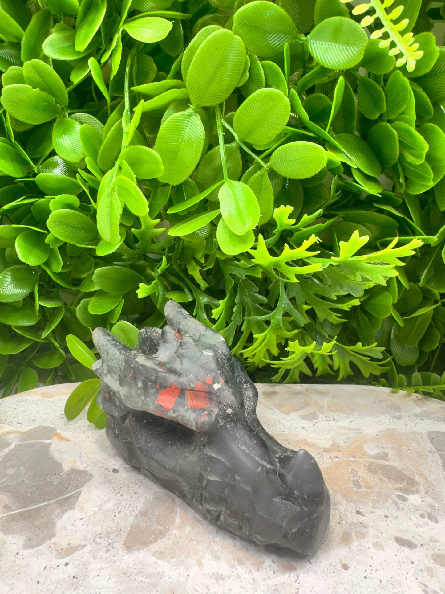 African Bloodstone Dragon Skull 278g