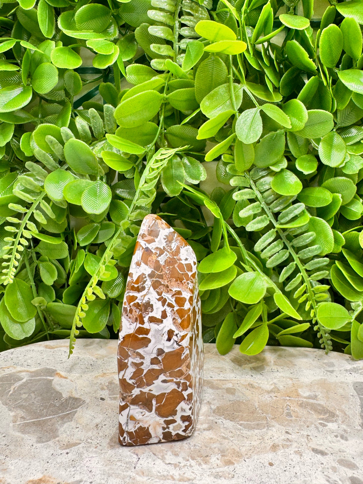 Jasper Agate Freeform 228g