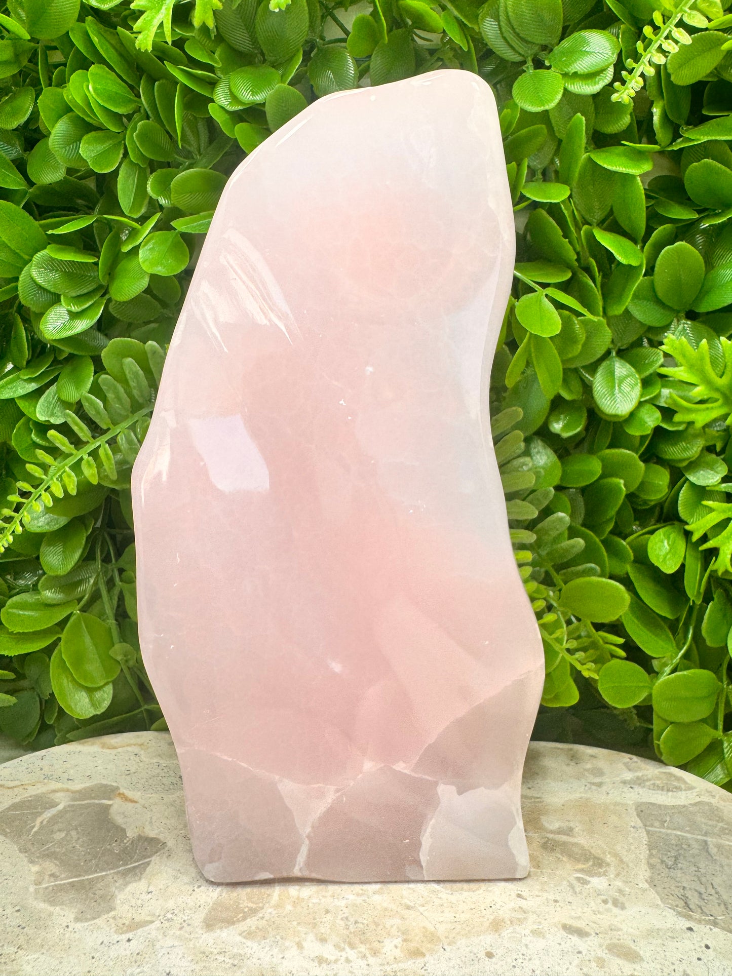 Pink Mangano Freeform 2424g