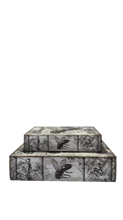 Set of 2 Book Boxes with Fly Design