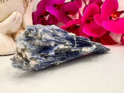 Kyanite Raw 834g