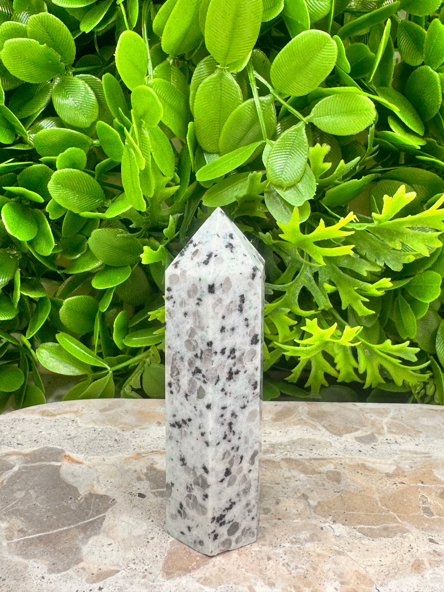 Kiwi Jasper Point 130g