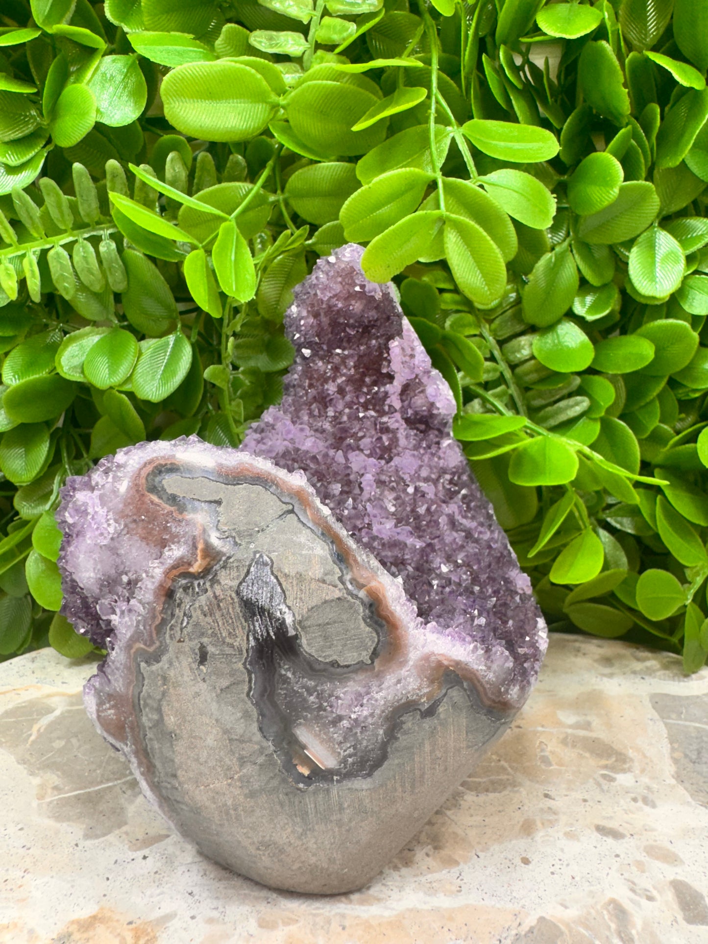 Amethyst Freeform Cluster 1.2kg