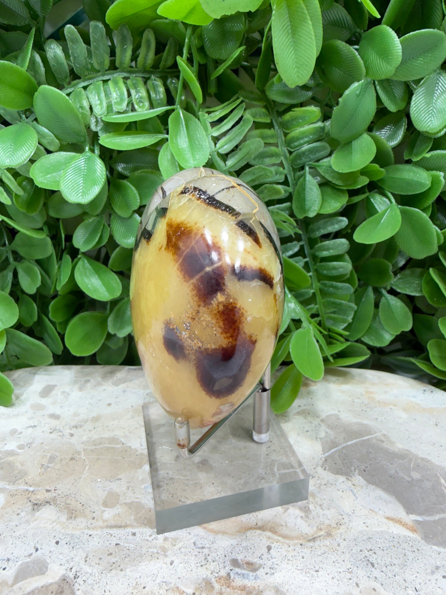 Septarian Dragon Stone 382g
