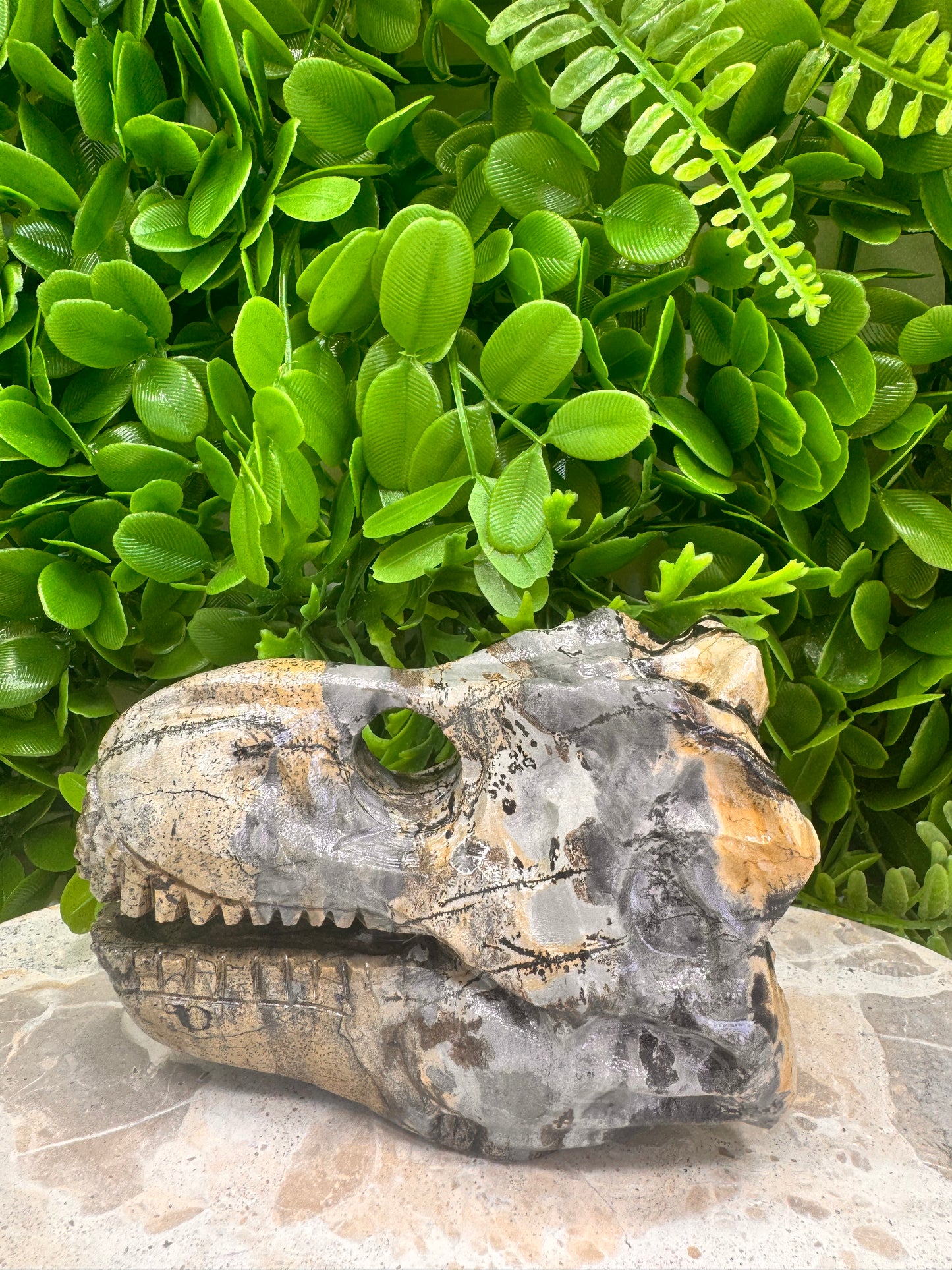 Picture Jasper Dinosaur Skull 724g