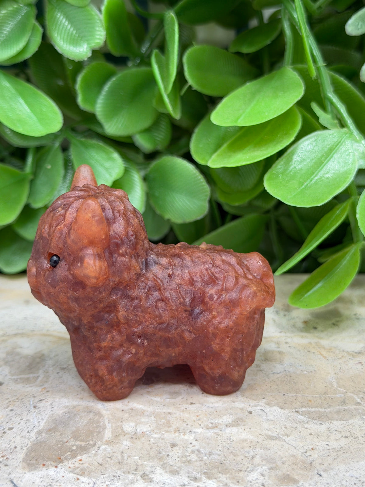 Sunstone Highland Cow | Joy • Confidence • Abundance
