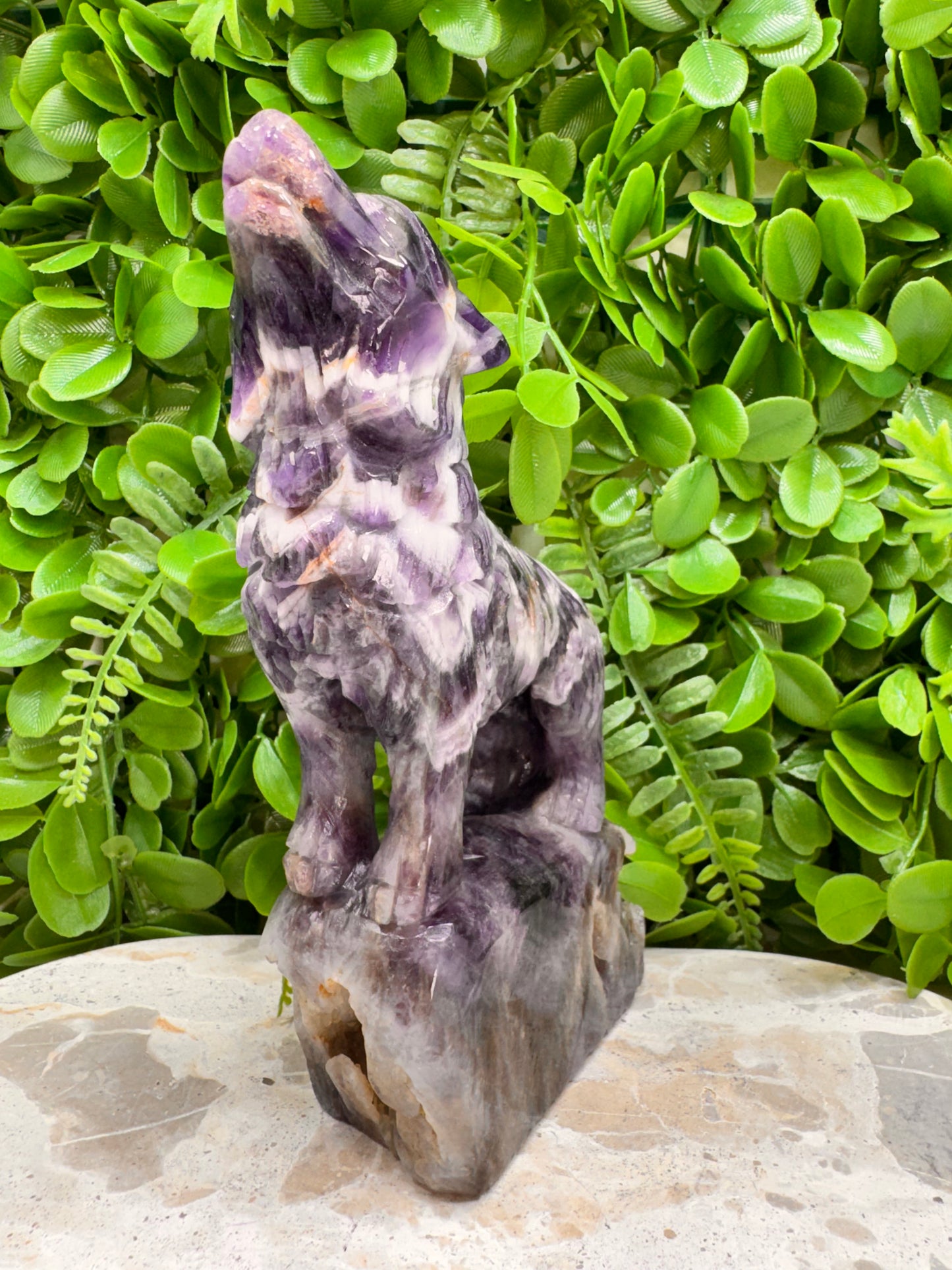 Chevron Amethsyt Wolf 920g