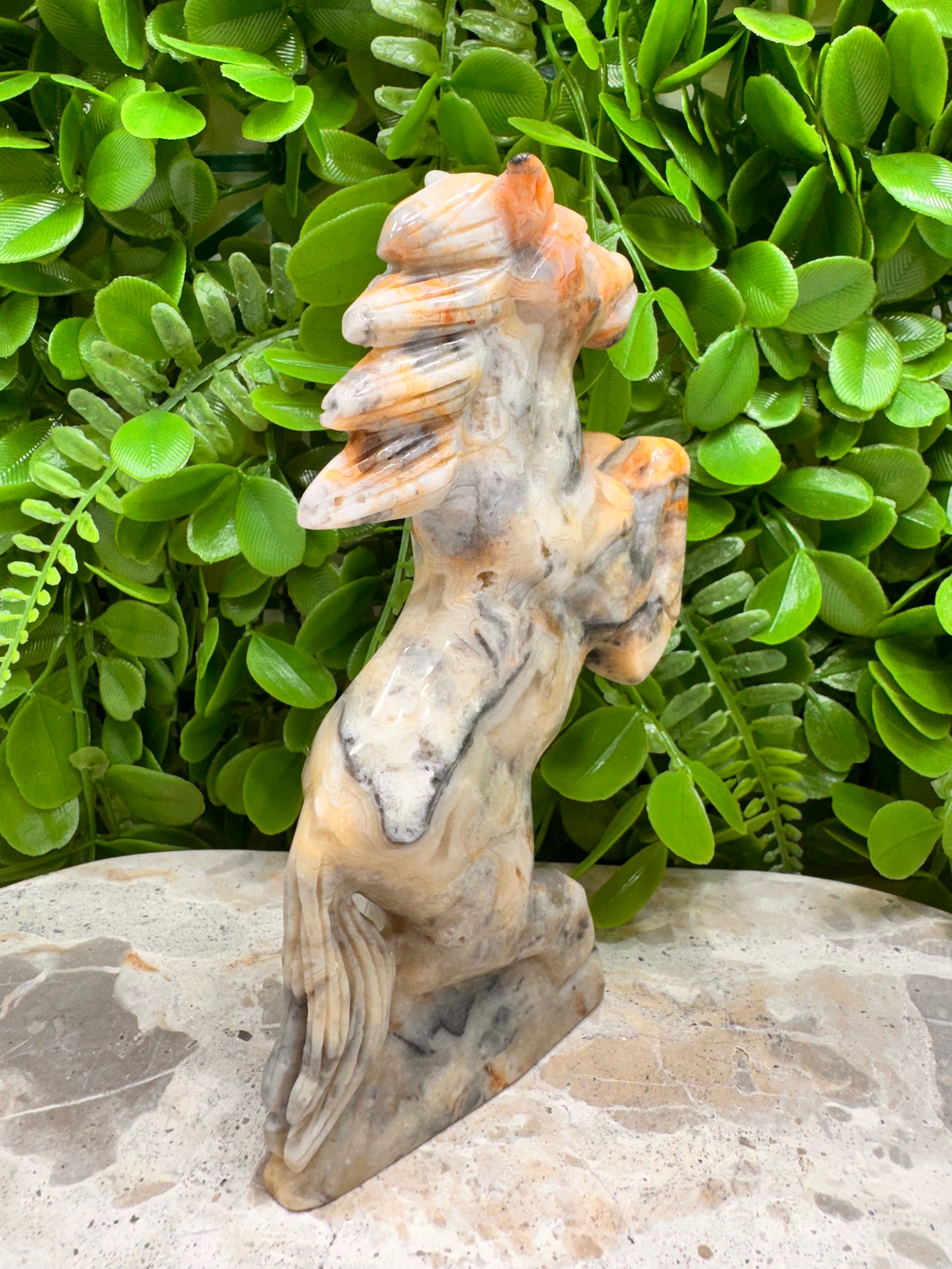 Crazy Lace Agate Horse 410g