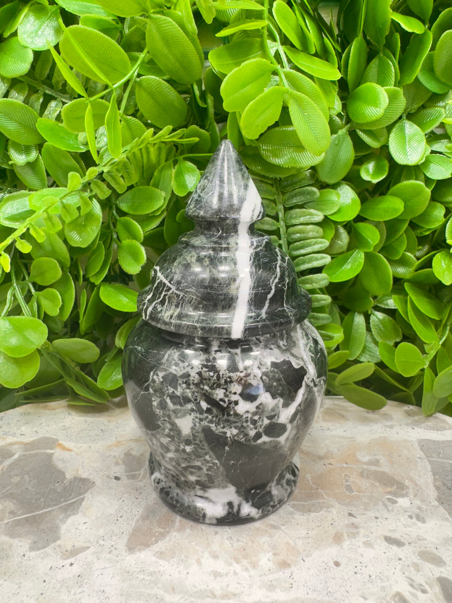 Black Zebra Serpentine Urn 446g
