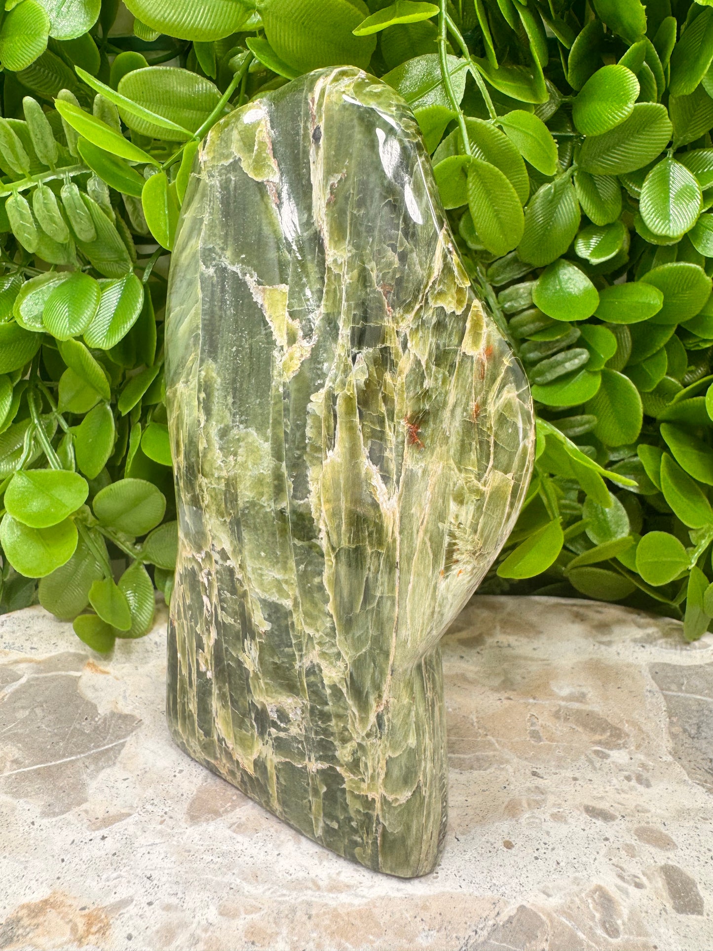 Tremolite Freeform 576g