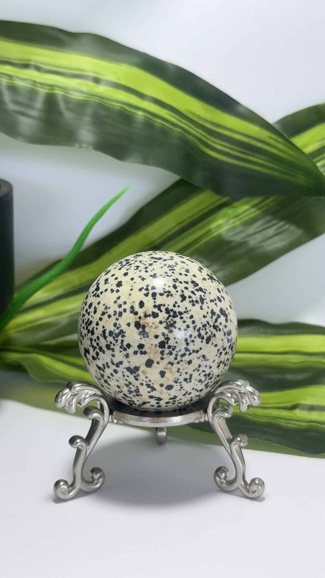 Dalmation Jasper Sphere 236g
