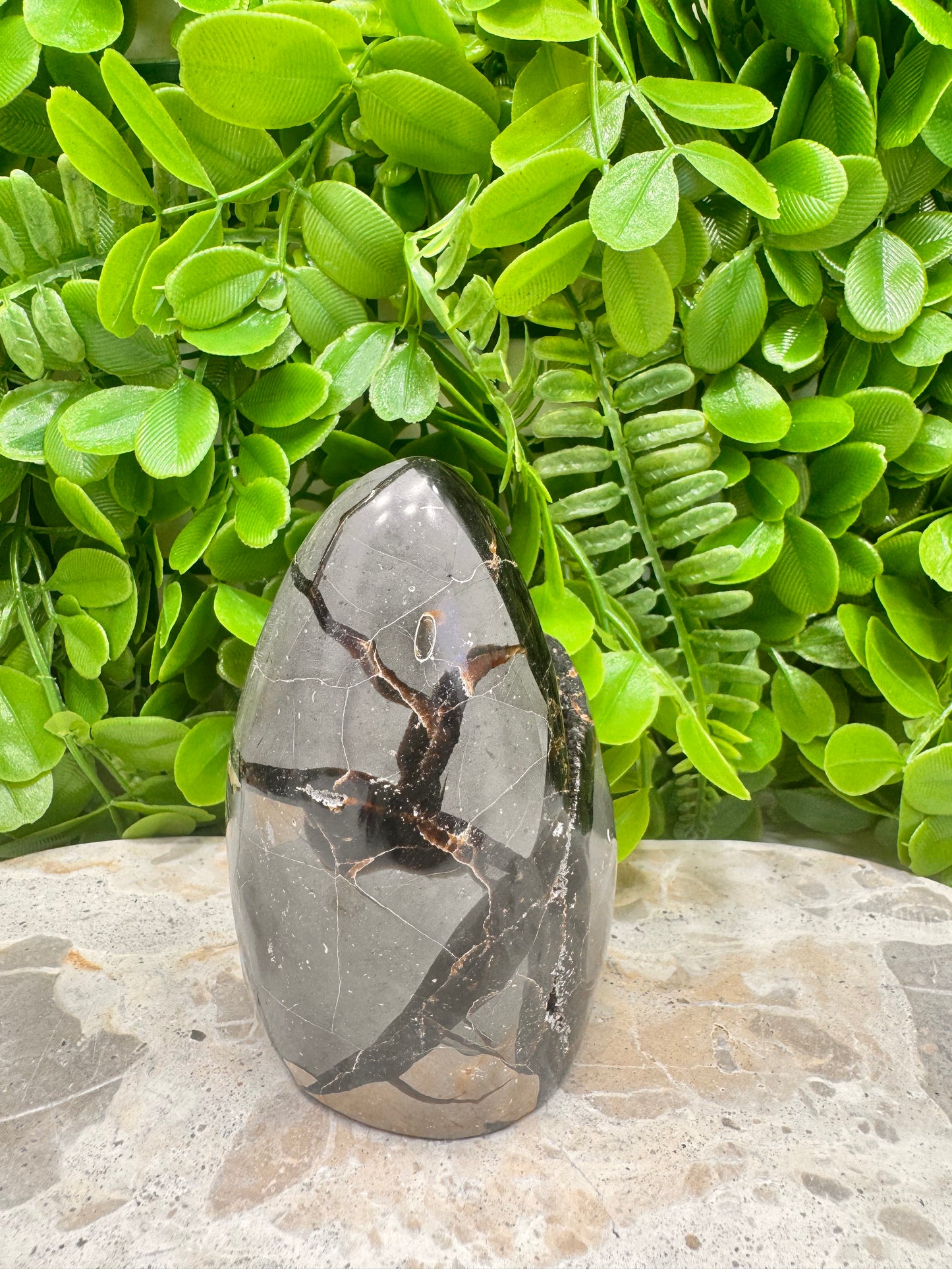 Septarian Freeform 570g