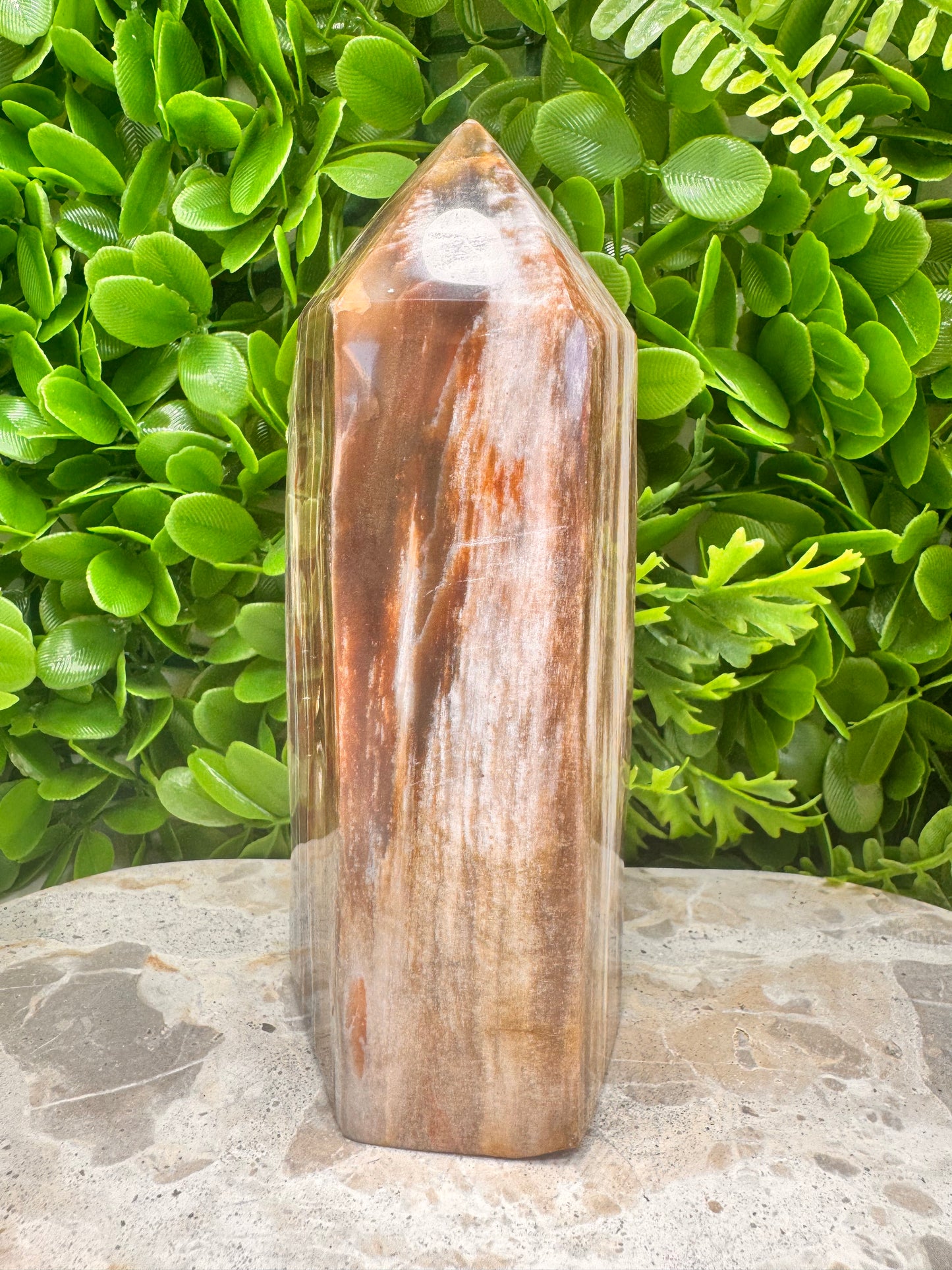 Petrified Wood Freeform 1074g