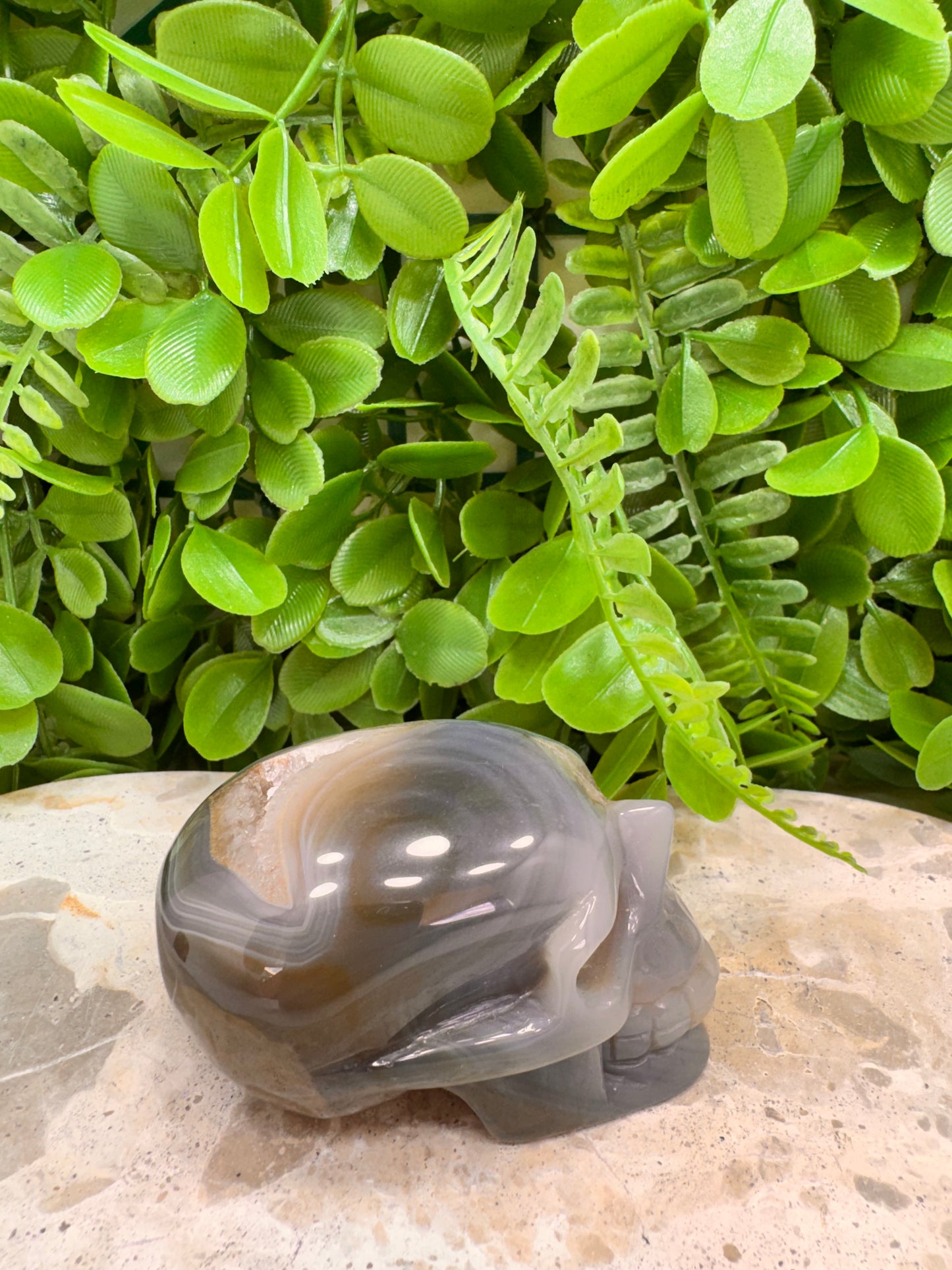 Agate Druzy Skull 262g