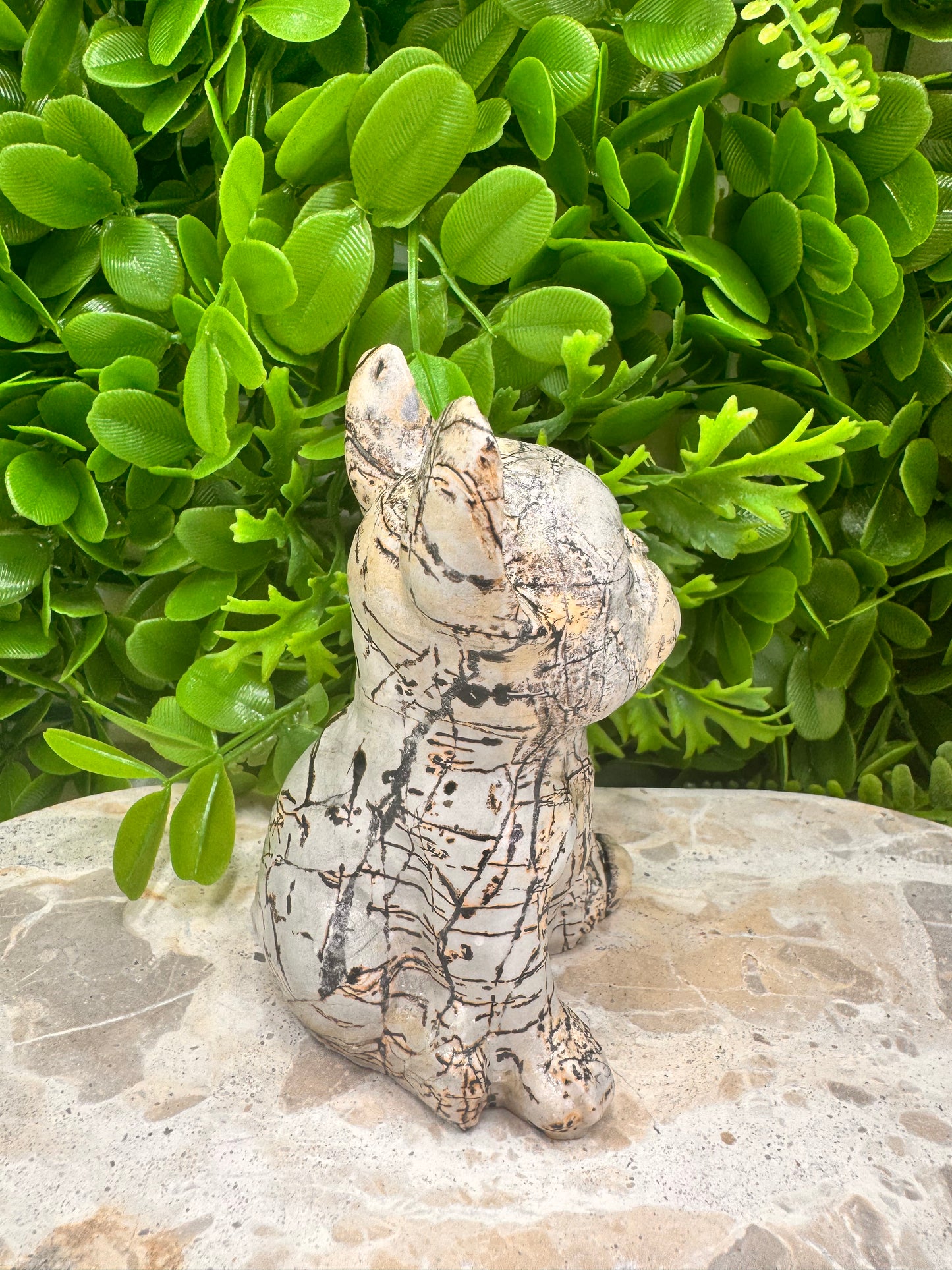 Picture Jasper French Bulldog 517g