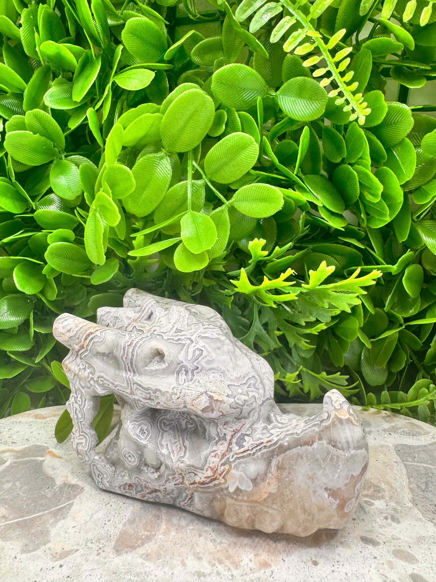 Mexican Agate Druzy Dragon Skull 594g