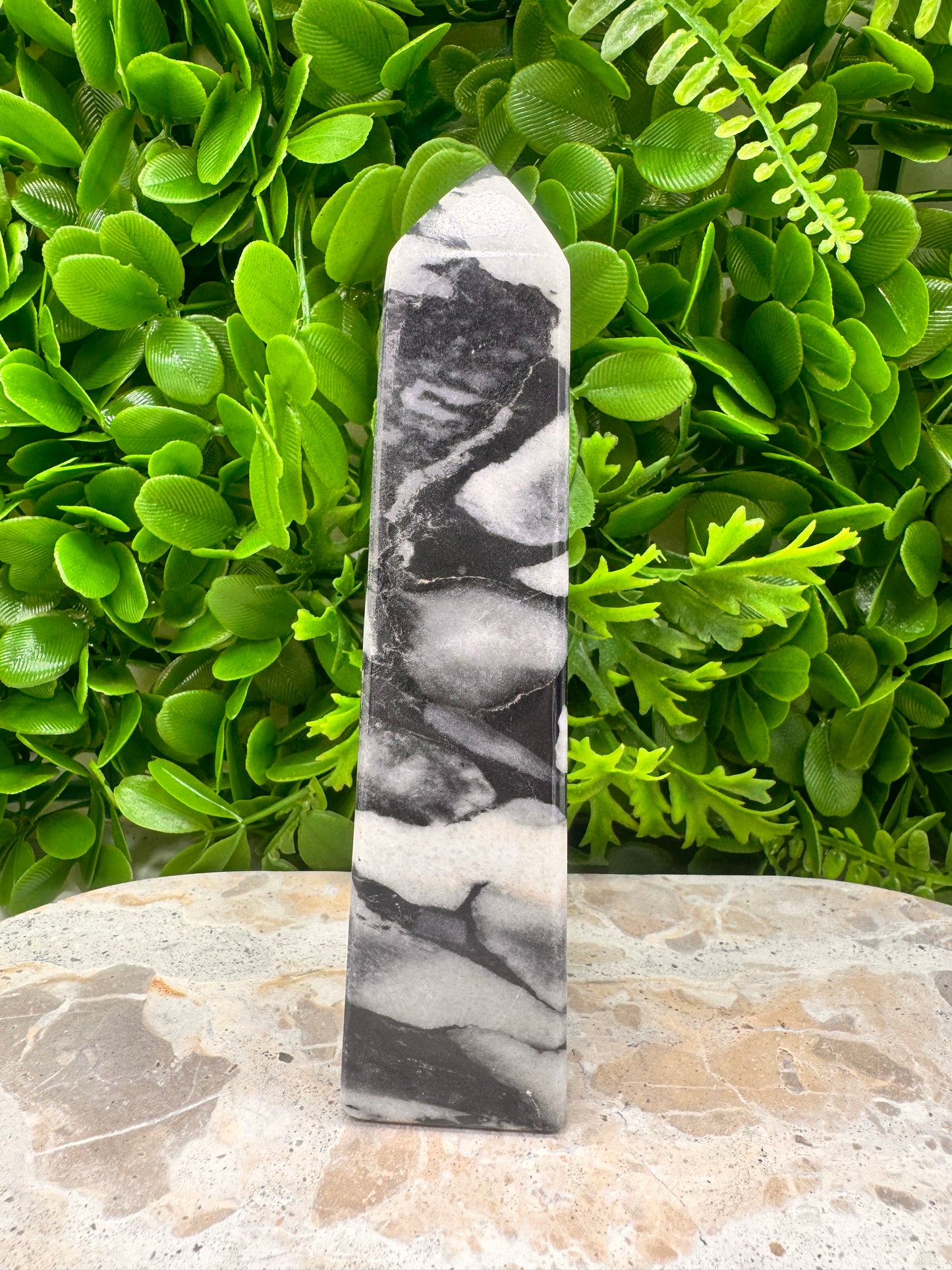 Shell Jasper Tower 420g