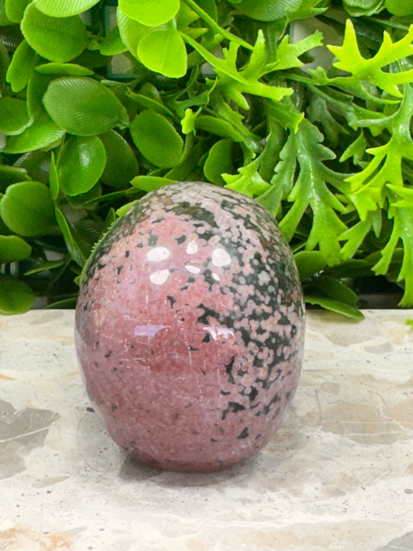 Ocean Jasper Skull 352g