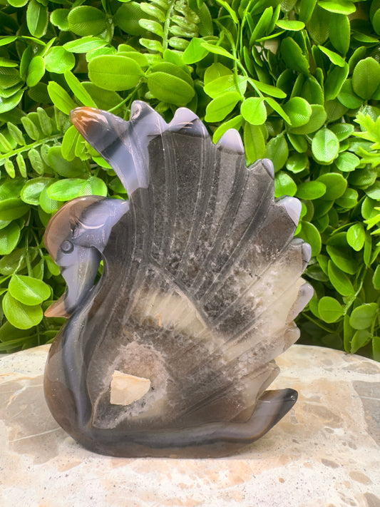 Agate Druzy Swan 306g