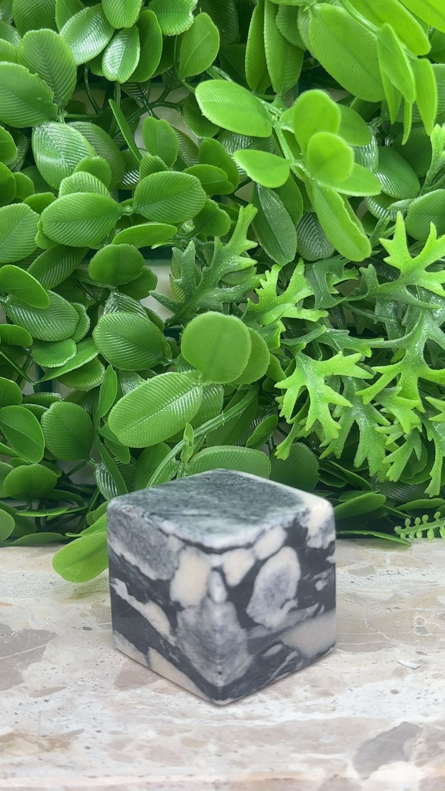 Shell Jasper Cube 198g