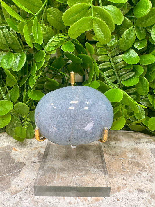 Trolleite Palm Stone 139g