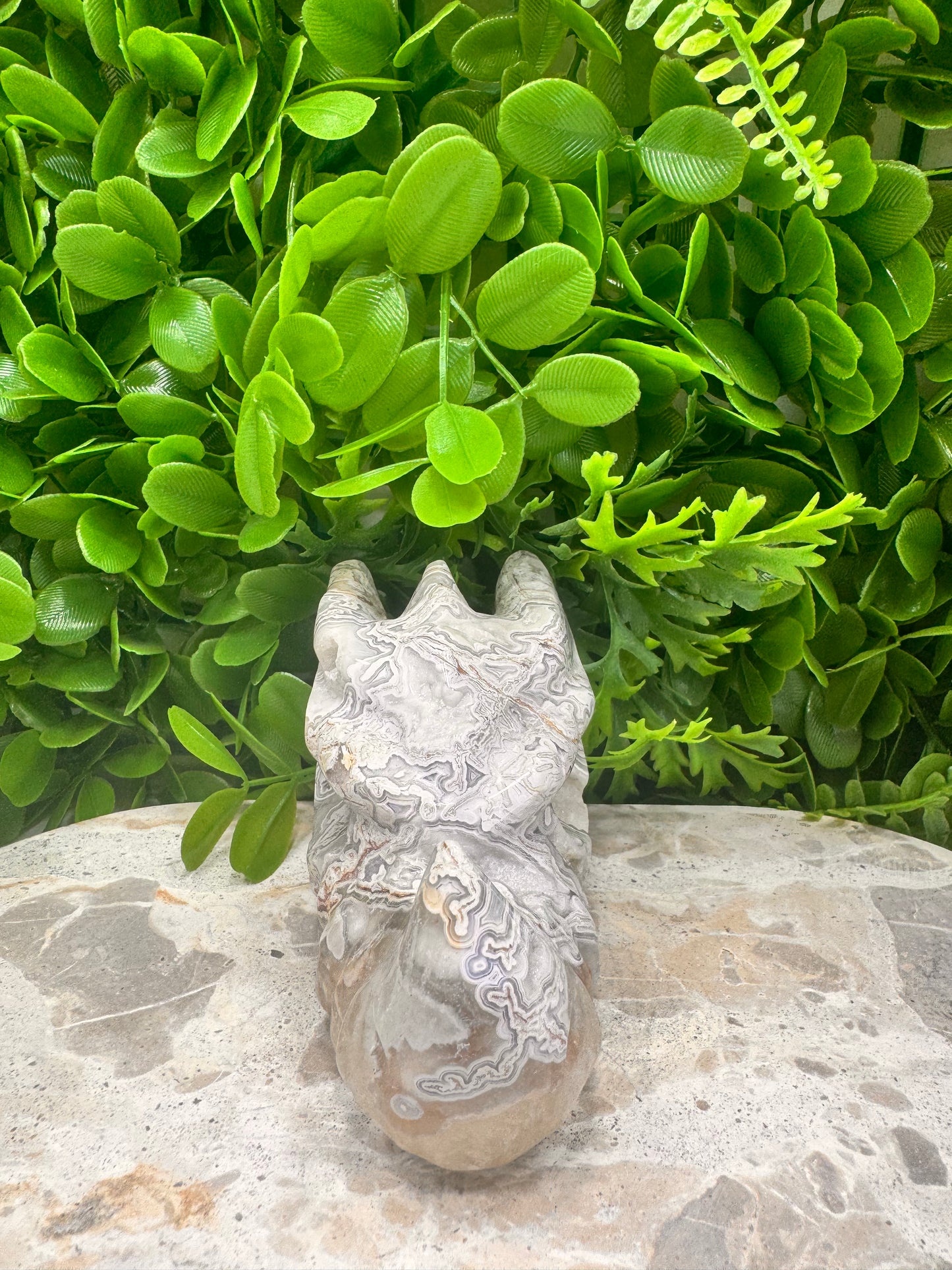 Mexican Agate Druzy Dragon Skull 594g