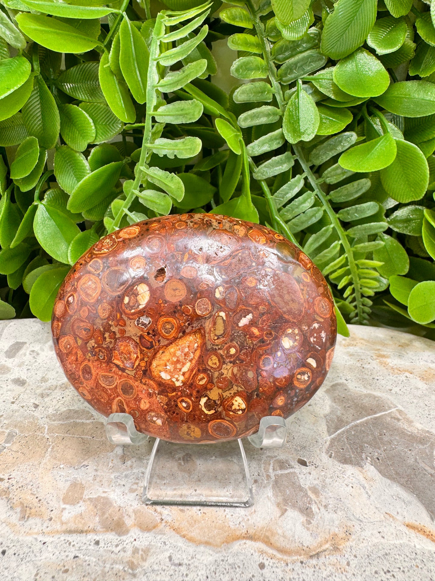 Coral Fossil Japser Palmstone 168g
