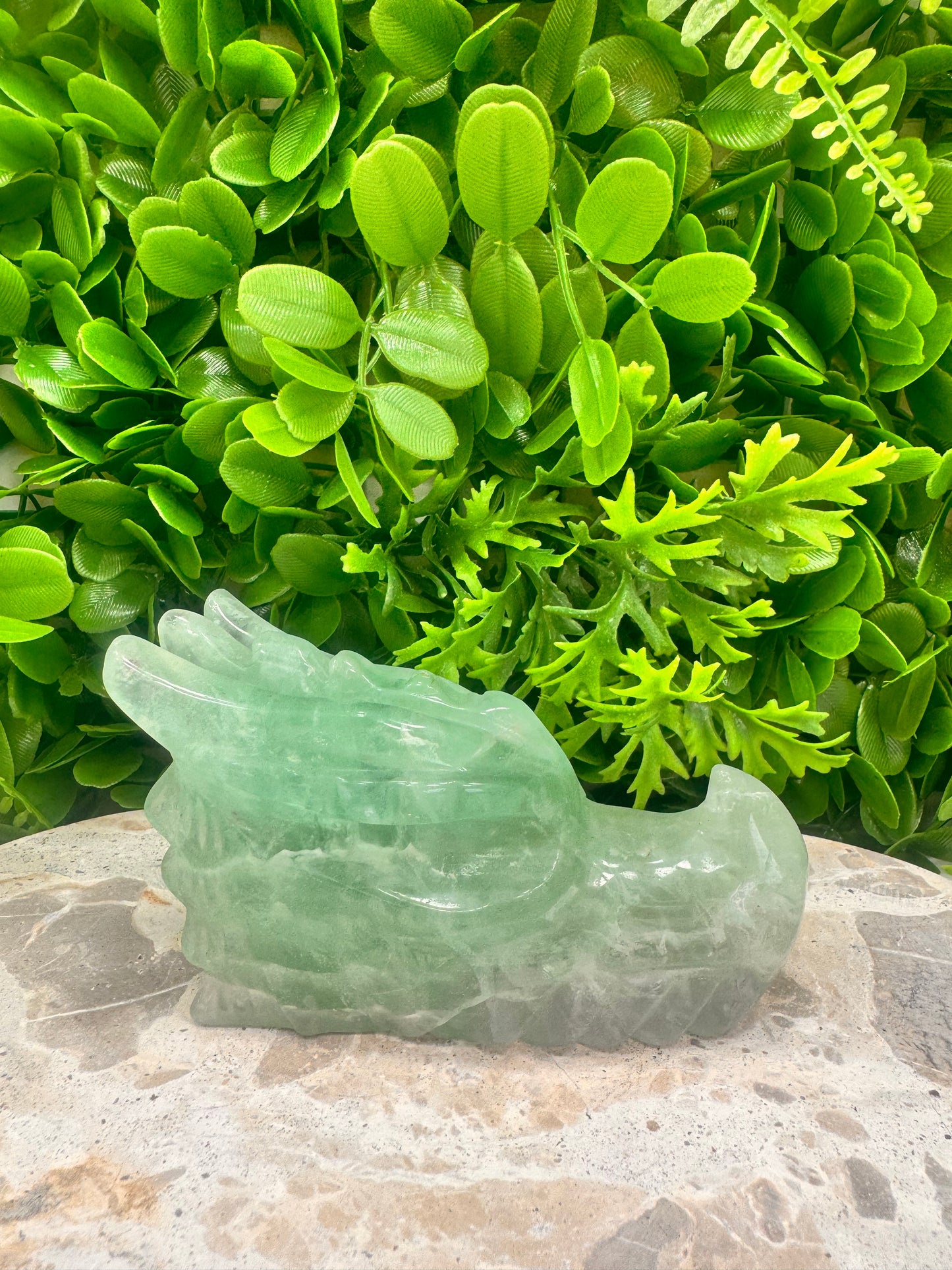 Green Fluorite Dragon 662g