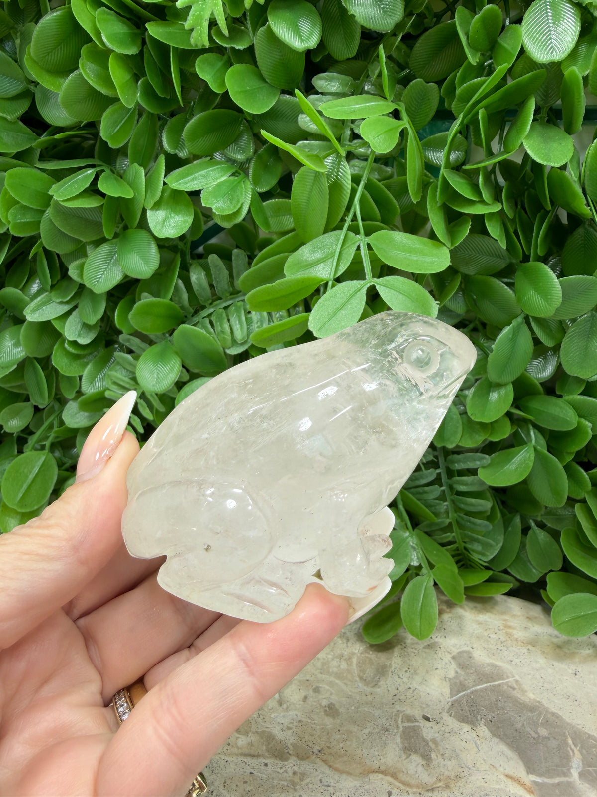 Clear Quartz Frog 308g