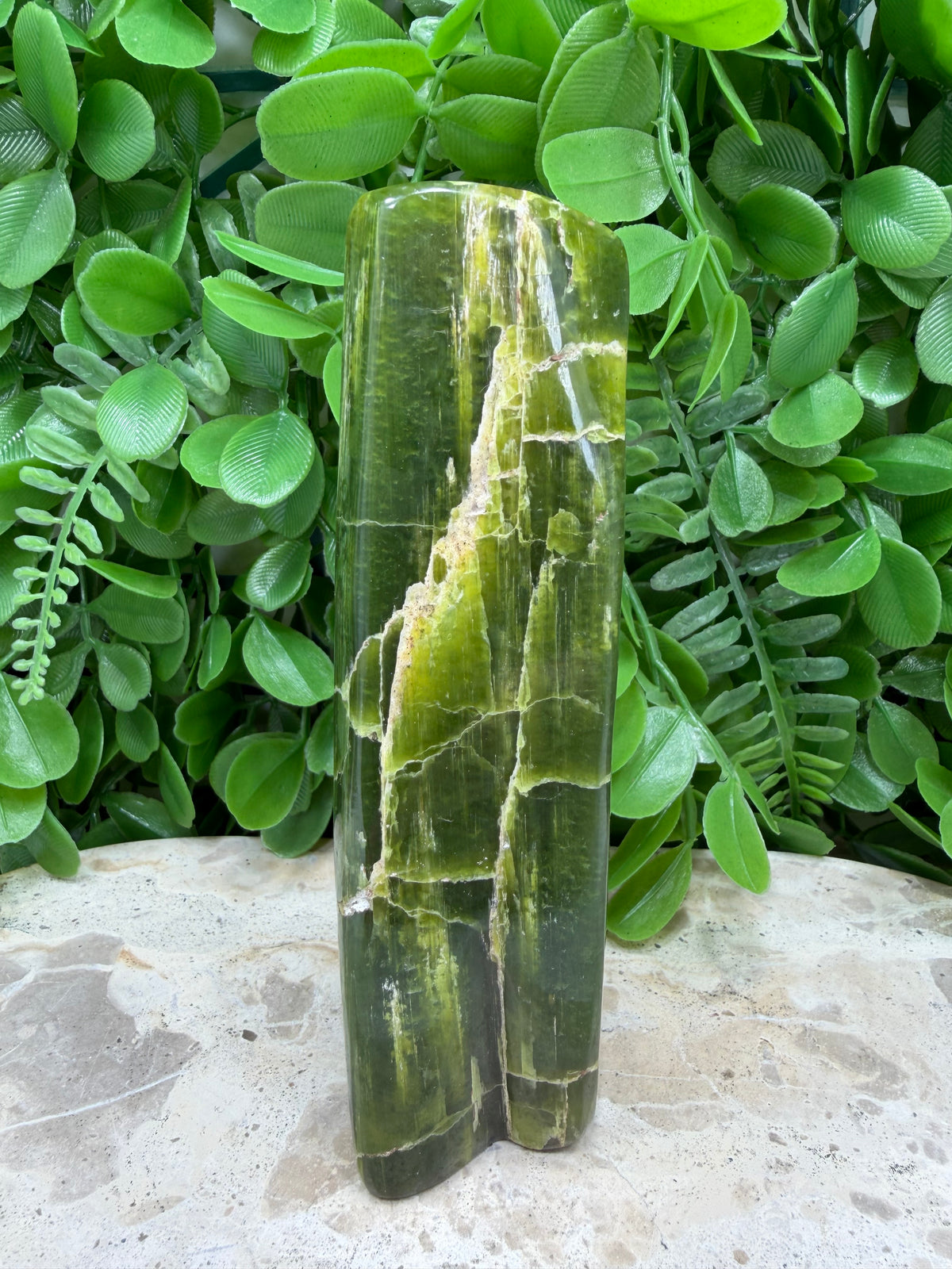 Tremolite Freeform | Calm • Balance • Spiritual Growth